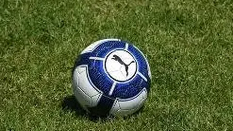 德甲球队迎新帅受阻，大黄蜂不幸遇挫